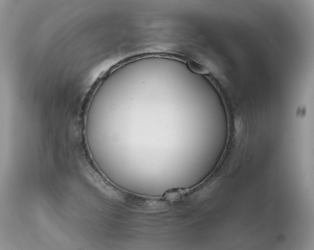 X0000112531308200908311413
