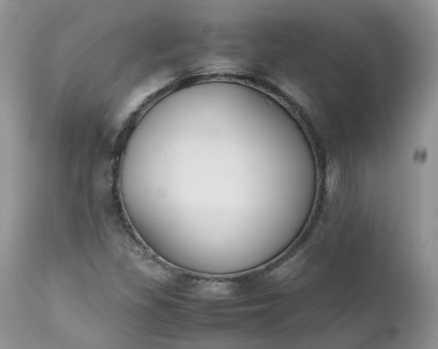 X0000112531309200908311413