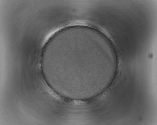 X0000112531312200908311413
