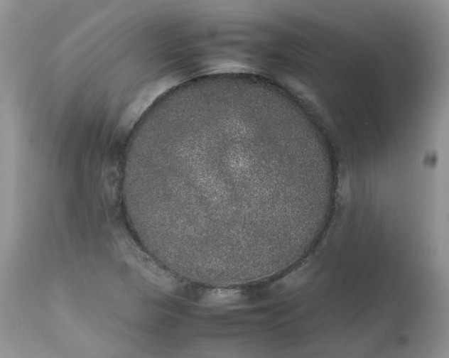 X0000112531313200908311413