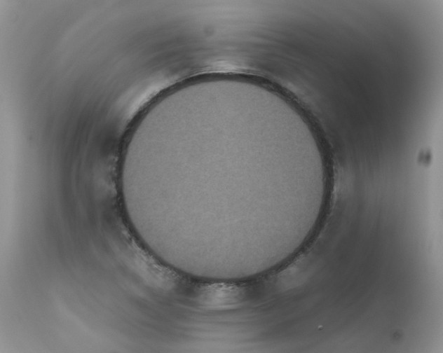 X0000112531314200908311413