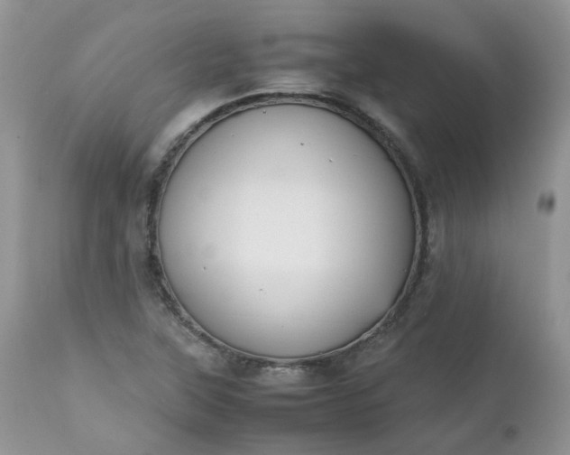 X0000112531315200908311413