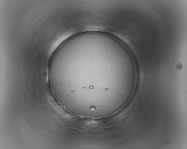 X0000112531317200908311413