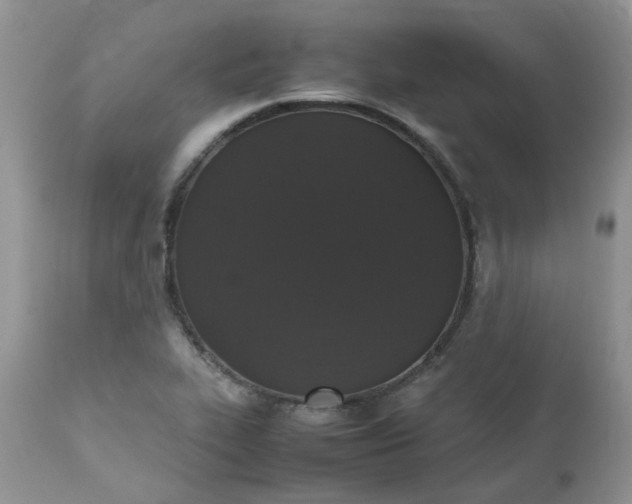 X0000112531319200908311413