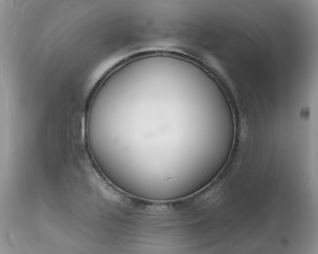 X0000112531320200908311413