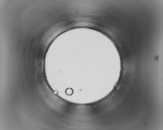 X0000112531322200908311413