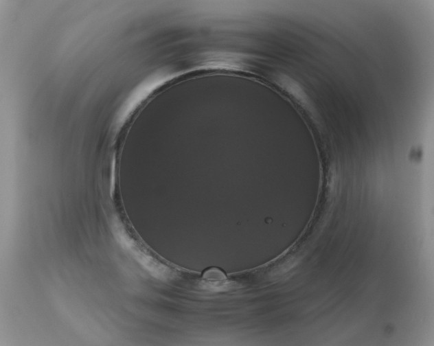 X0000112531323200908311413