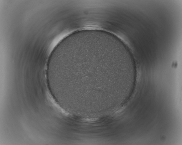X0000112531325200908311413