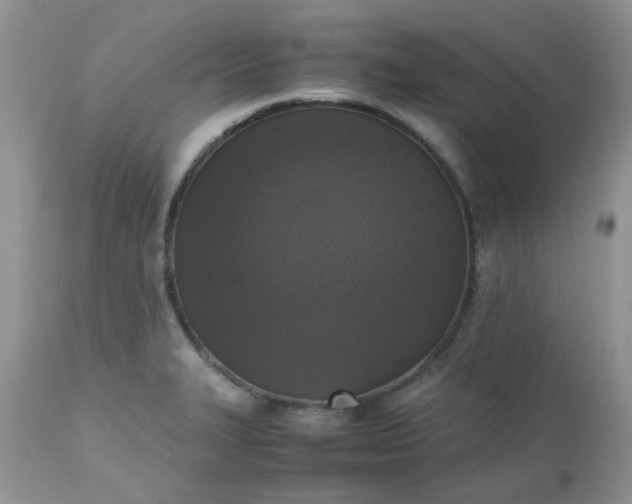 X0000112531327200908311413