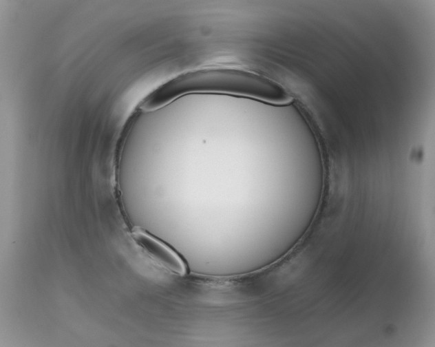 X0000112531328200908311413
