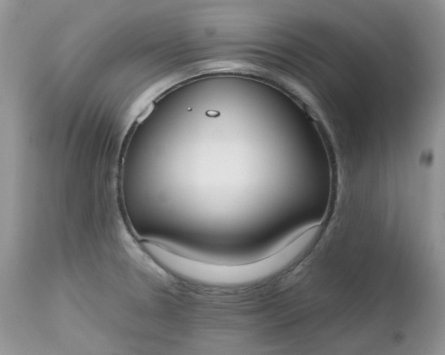 X0000112531330200908311413