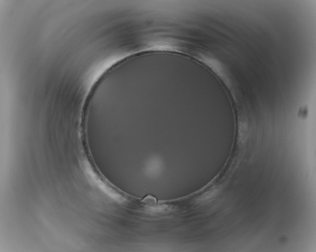X0000112531331200908311413