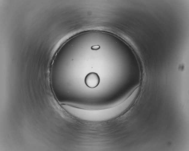 X0000112531332200908311413