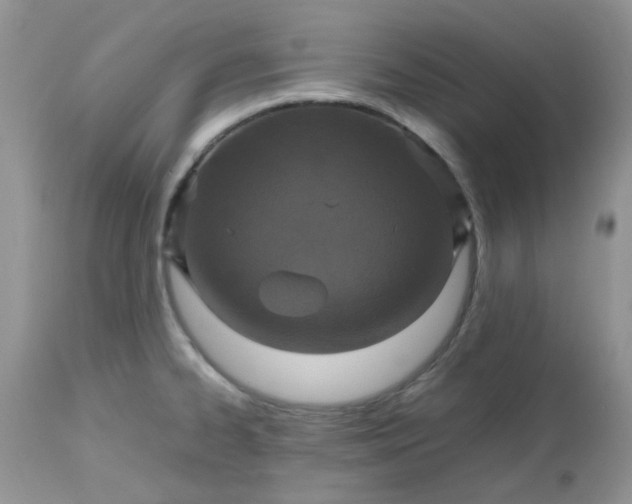 X0000112531334200908311413