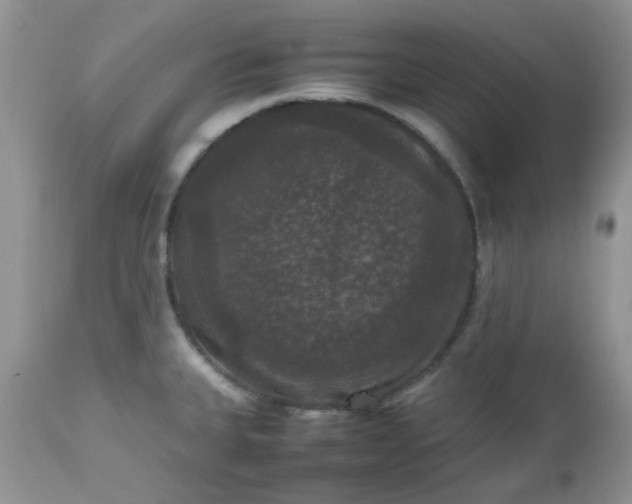 X0000112531335200908311413