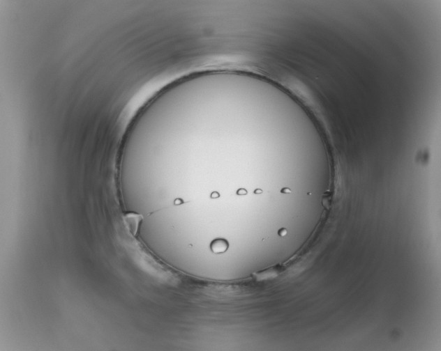 X0000112531336200908311413