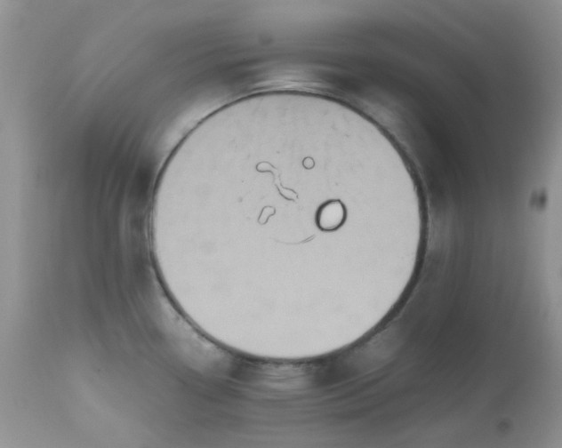 X0000112531338200908311413