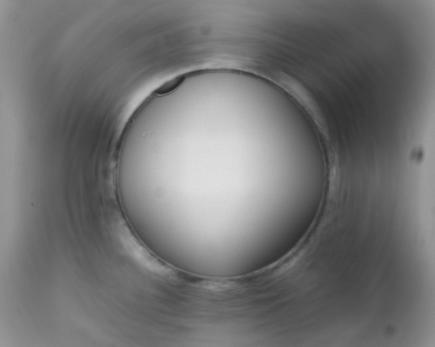 X0000112531340200908311413