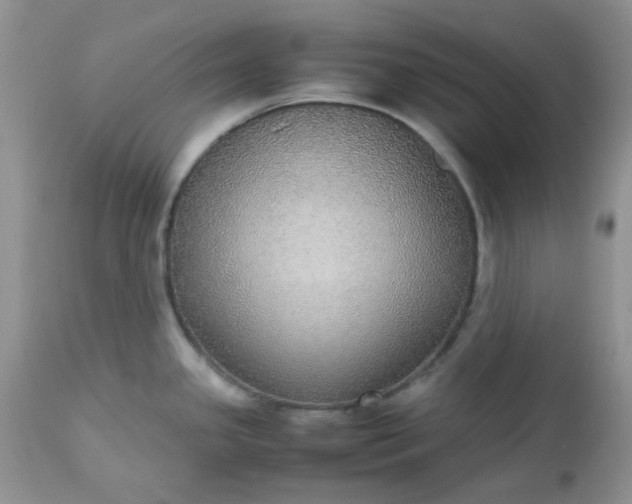 X0000112531341200908311413