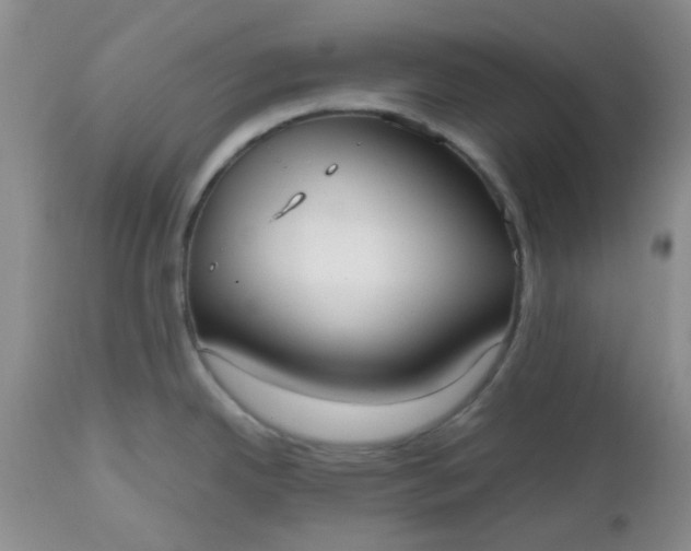 X0000112531342200908311413