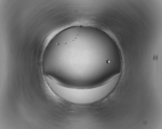 X0000112531344200908311413