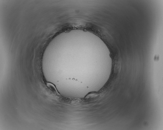 X0000112531345200908311413