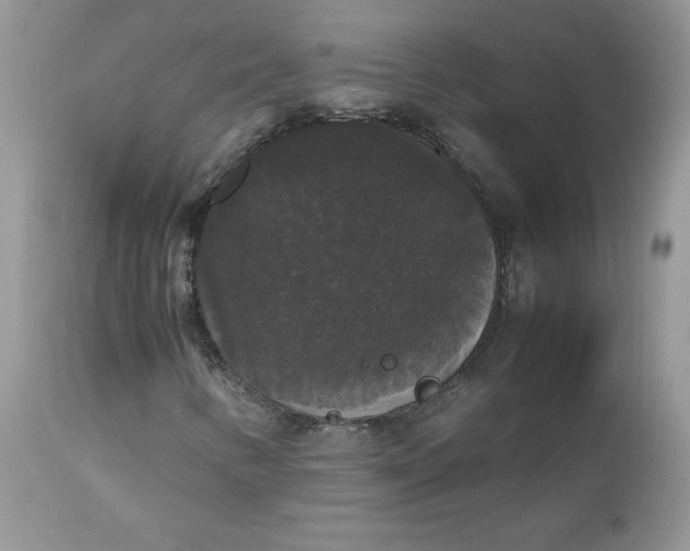 X0000112531346200908311413