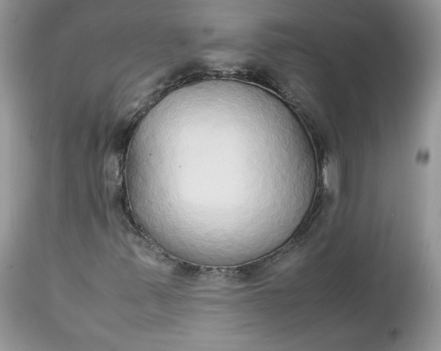 X0000112531347200908311413