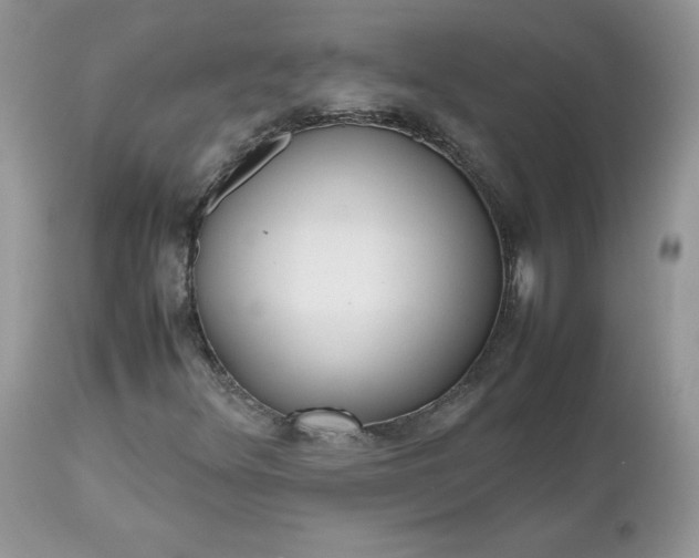 X0000112531348200908311413