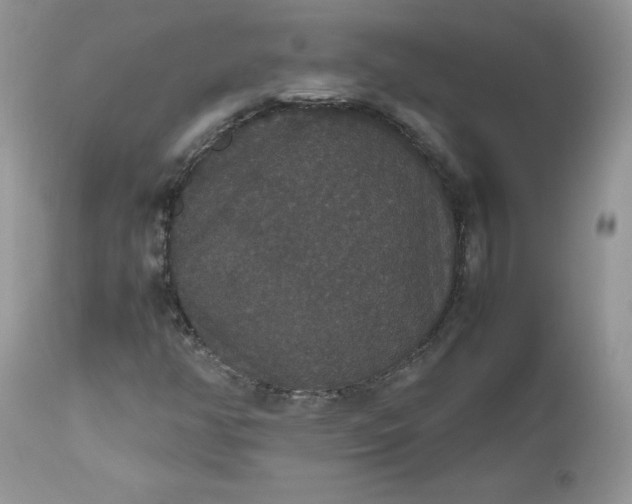 X0000112531350200908311413