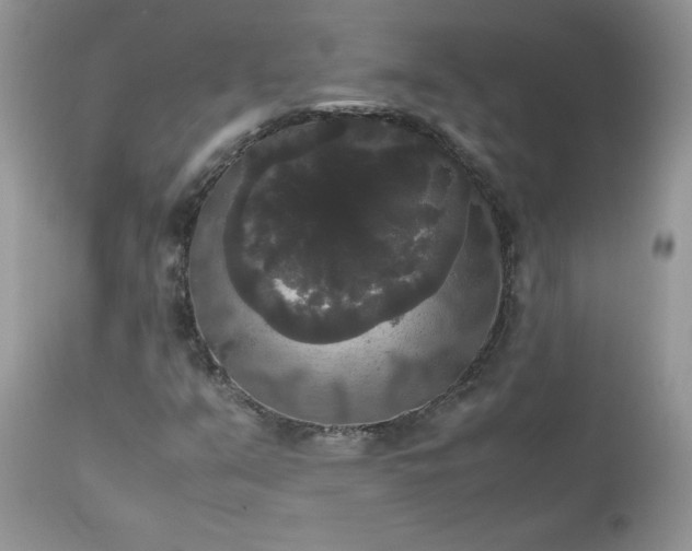 X0000112531351200908311413