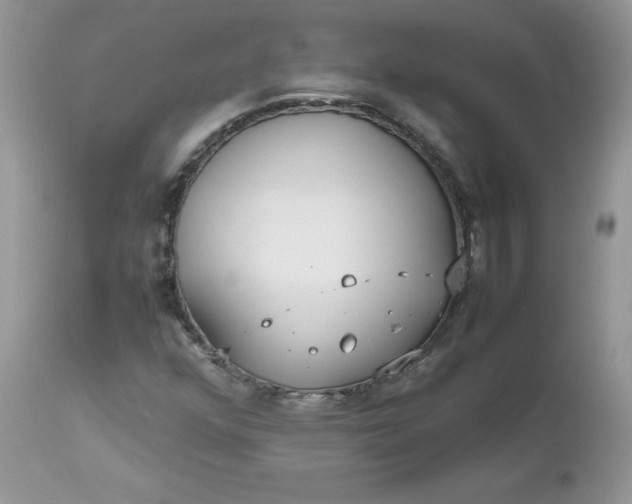 X0000112531352200908311413