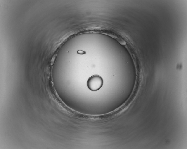 X0000112531353200908311413