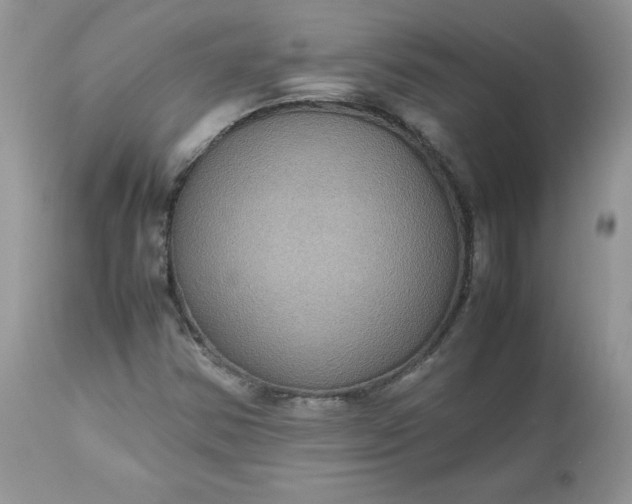 X0000112531354200908311413