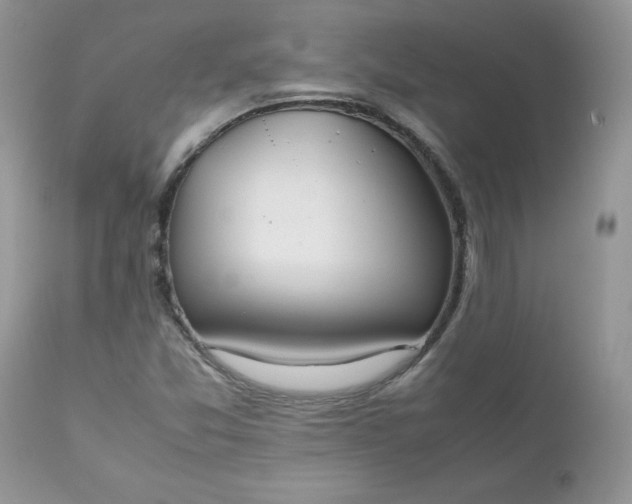 X0000112531357200908311412