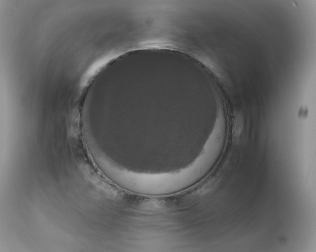 X0000112531358200908311412