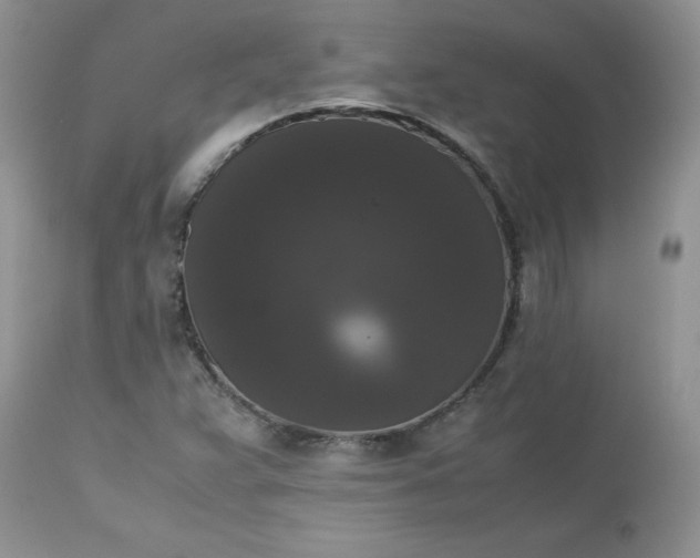 X0000112531359200908311412