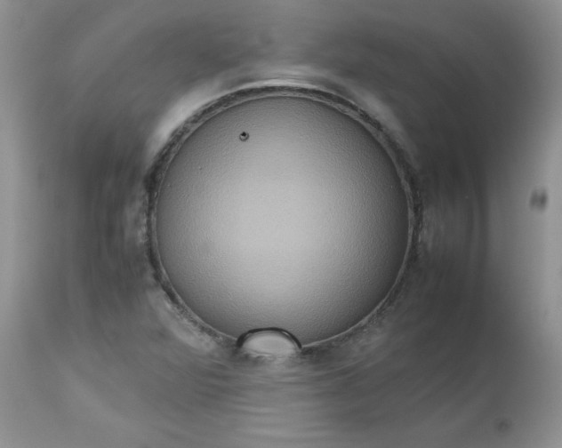 X0000112531360200908311412