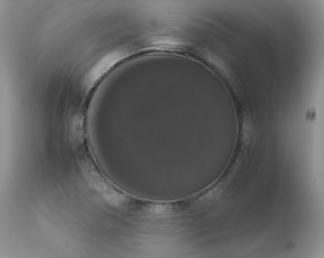 X0000112531362200908311412