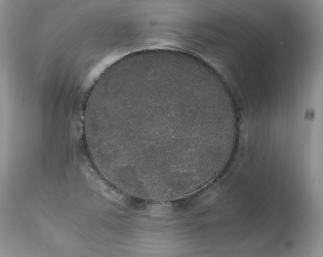 X0000112531363200908311412