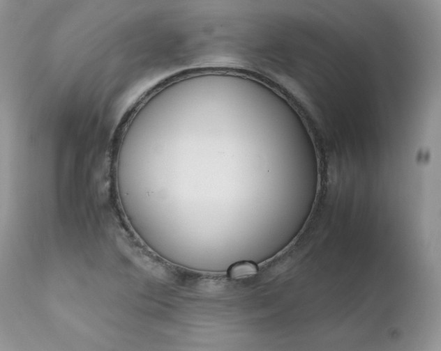 X0000112531364200908311412