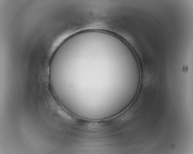 X0000112531366200908311412