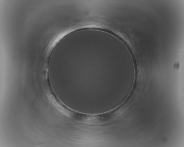 X0000112531367200908311412