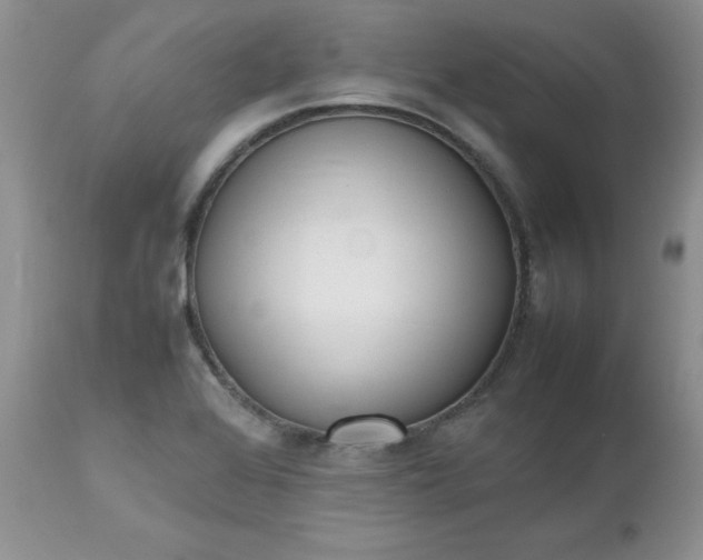X0000112531368200908311412