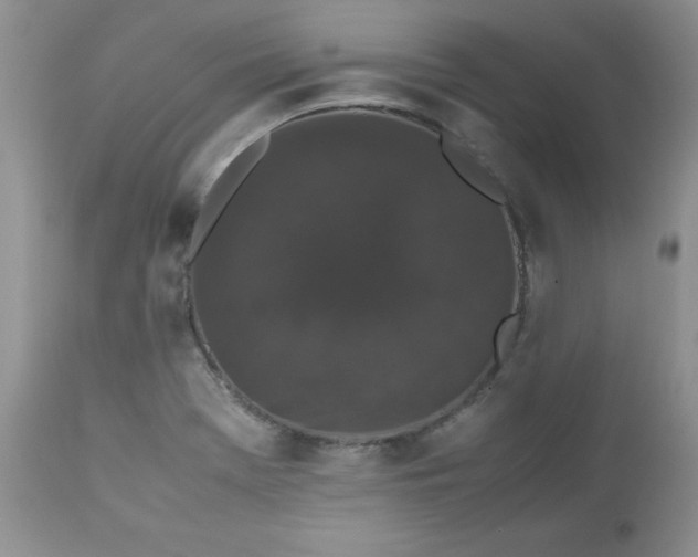X0000112531369200908311412