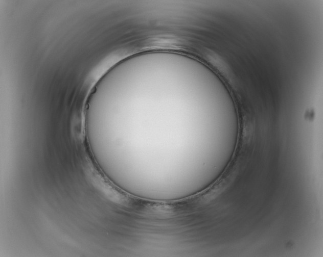 X0000112531370200908311412