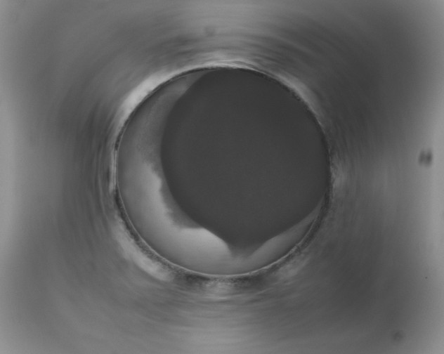 X0000112531371200908311412