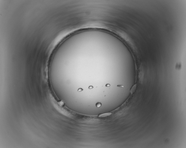 X0000112531372200908311412