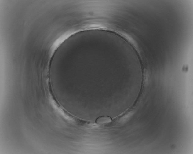 X0000112531373200908311412