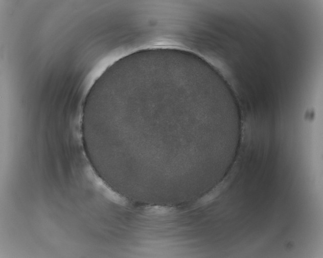 X0000112531374200908311412